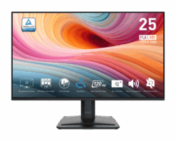 MSI PRO MP251 E2 (1)